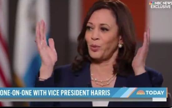 Kamala Harris Pressed on Not Visiting the US-Mexico Border: âYou Havenât Beenâ