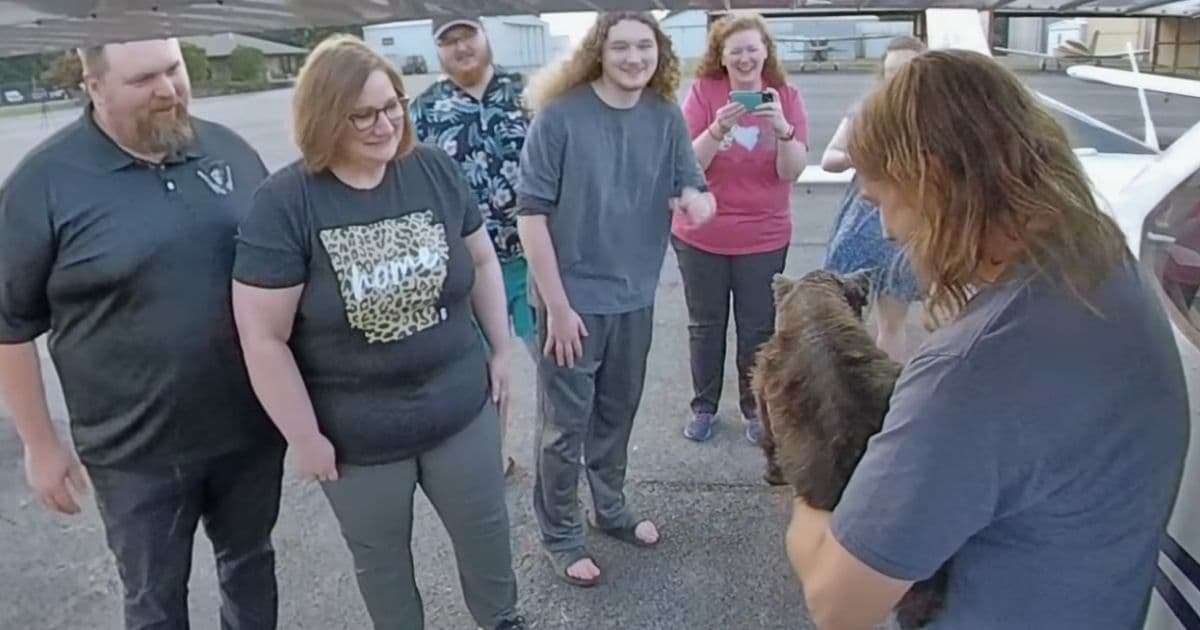 After Disappearing for 10 Years, Lost Dog Found 1,600 Miles from Home Finally Reunites with Family