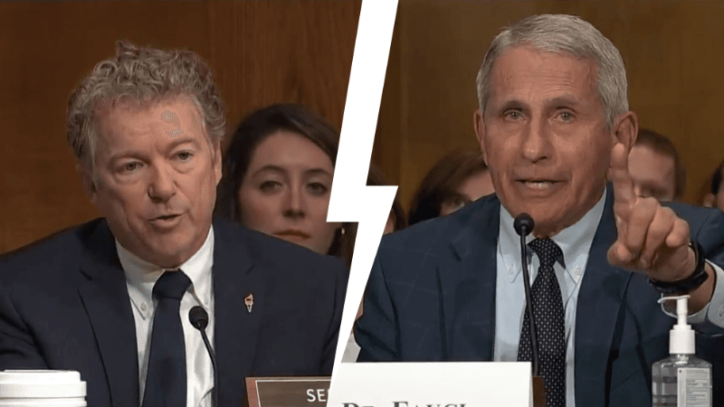 Watch: Rand Paul Accuses Fauci of Lying To Congress About Allegedly Funding Gain-of-Function Research