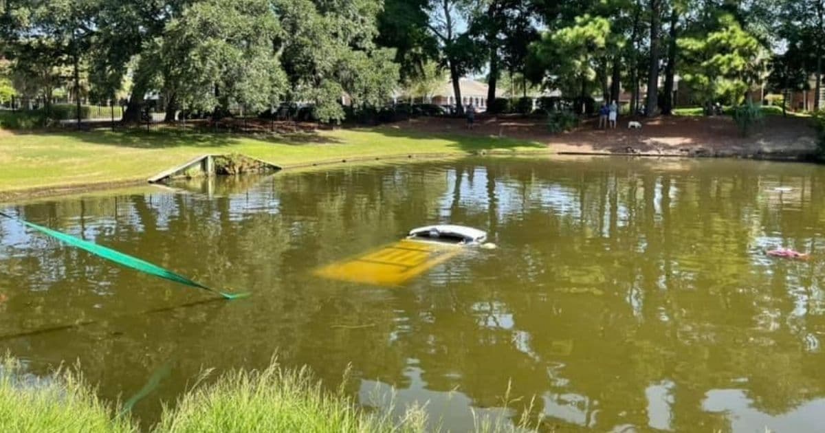 After Car Flies Off Road Into Pond, Trooper Jumps In to Save Man and Dog from Drowning