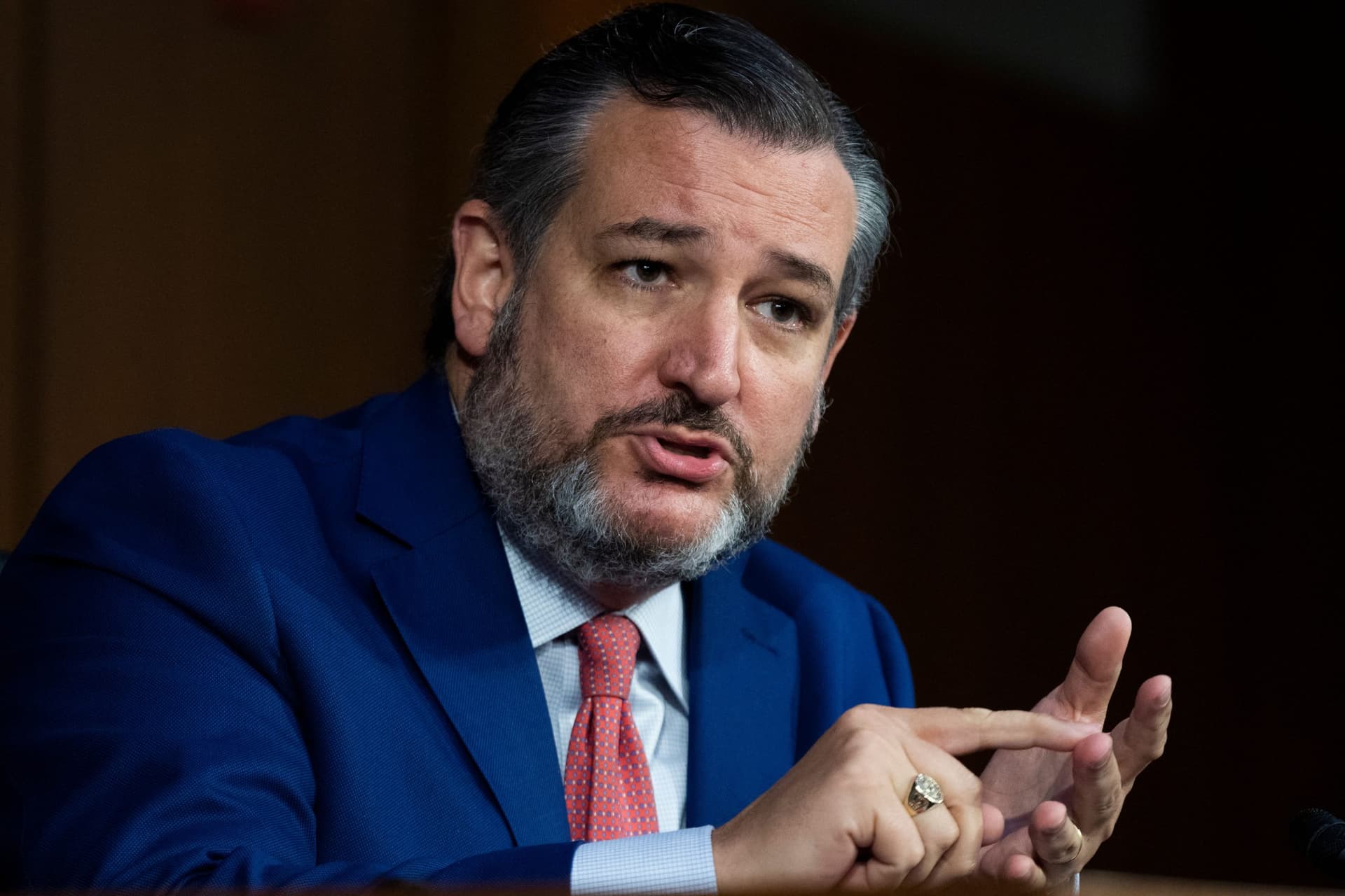 Cruz Challenges ‘Squad’ Member to ‘Come Down to the Biden Cages Now’