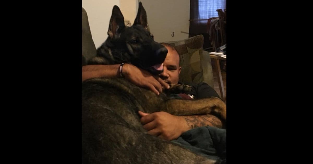 Guardian Angel? Police K9 Saves Neighbor from Vicious Dog Attack