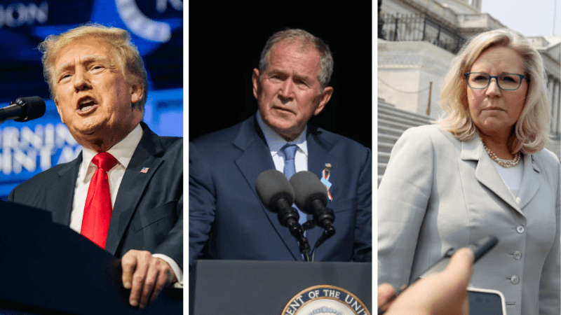 ‘RINO’: Trump Tears Into Bush for Fundraising for Cheney