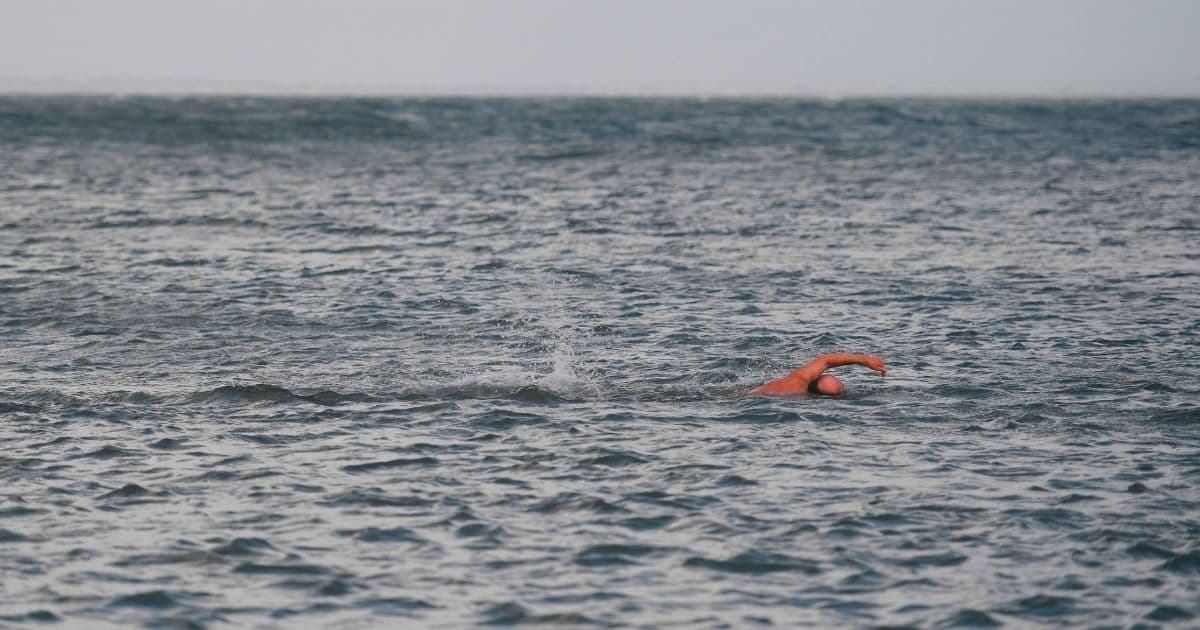 Fin-Tastic: Dolphins Miraculously Help Save Swimmer Stranded for Hours