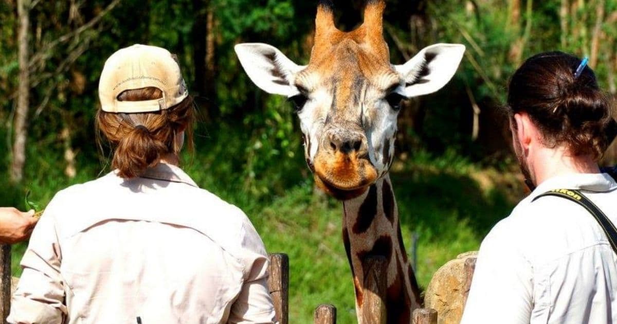15 Years After Steve Irwin's Traumatic and Untimely Death, His Daughter Makes Beautiful Tribute