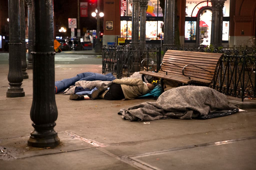 Seattle Spends $48 Million on 165 Luxury Apartments to House Tiny Number of Cityâs 12,000 Homeless