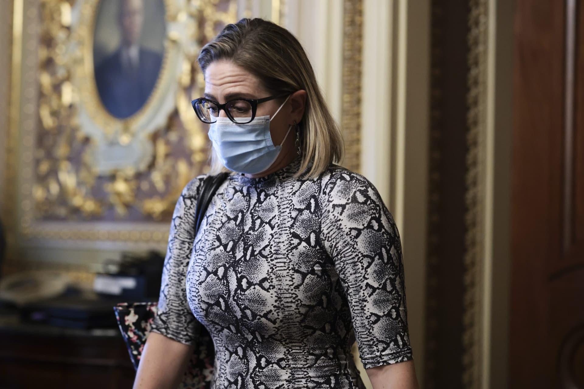 Charges Recommended Over the Viral Confrontation Between Sinema and Protesters