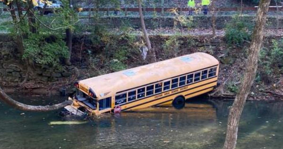 Unbelievable Video: Bus Carrying 29 Students Careens Off Road and Plummets Into River