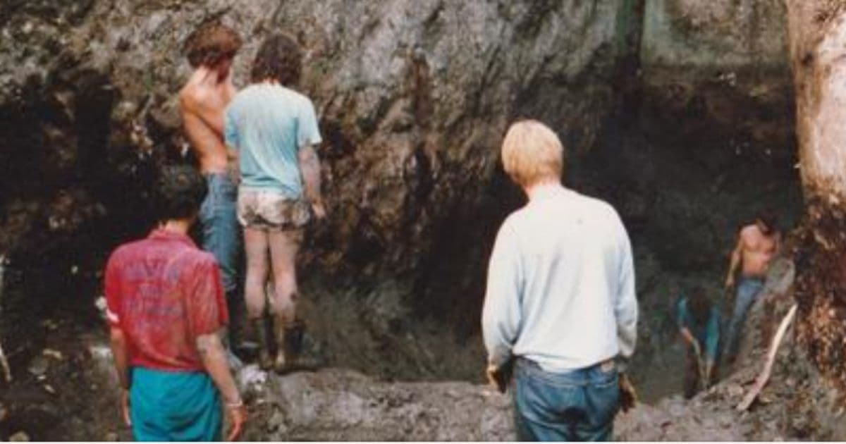 Urban Legend Prompts Mass Search for $20 Billion Treasure in Finland