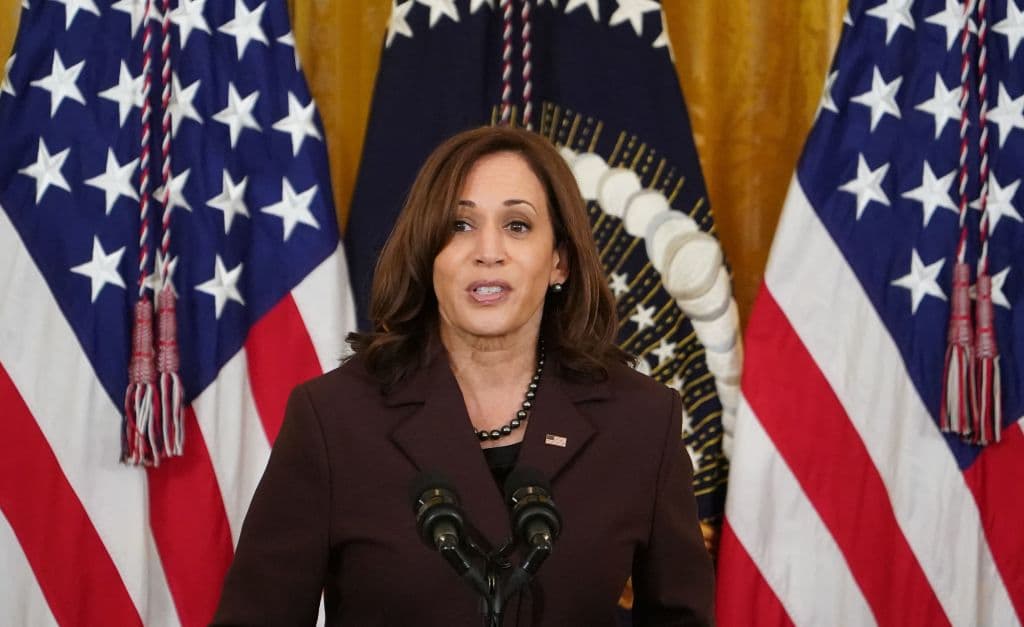 Harrisâ 2024 Chances Sink After Ex-Staffer Reveals Her Cruelty Behind Closed Doors