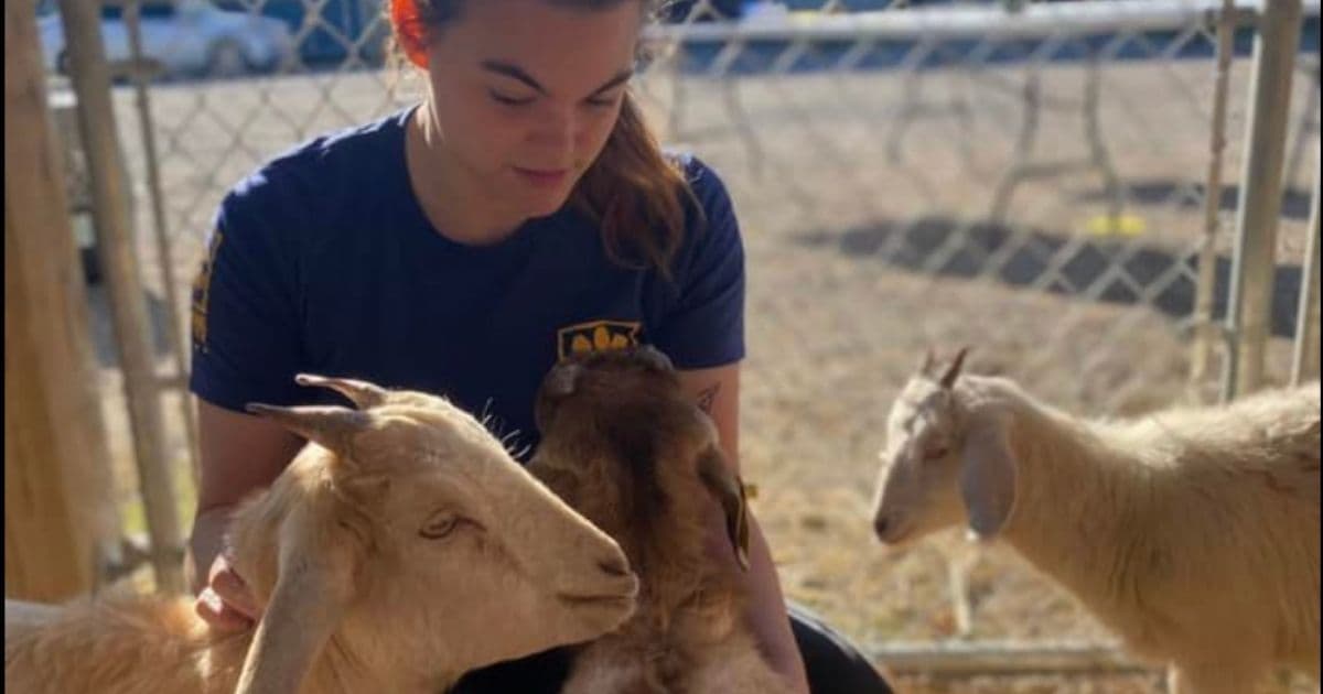 Man Makes Decision to Surrender Animals After Facing Hundreds of Charges