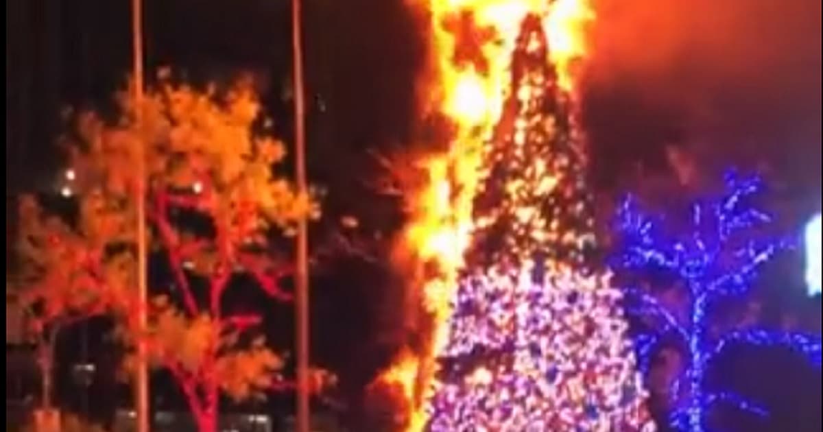 Arrest Made After Fox Newsâ 50-Foot Christmas Tree Is Set Ablaze in NYC