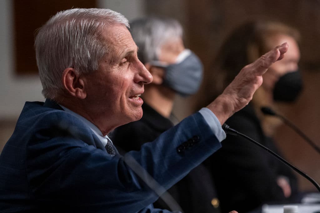 Republican Senator Plans to Introduce âFauci Actâ After Butting Heads During Hearing