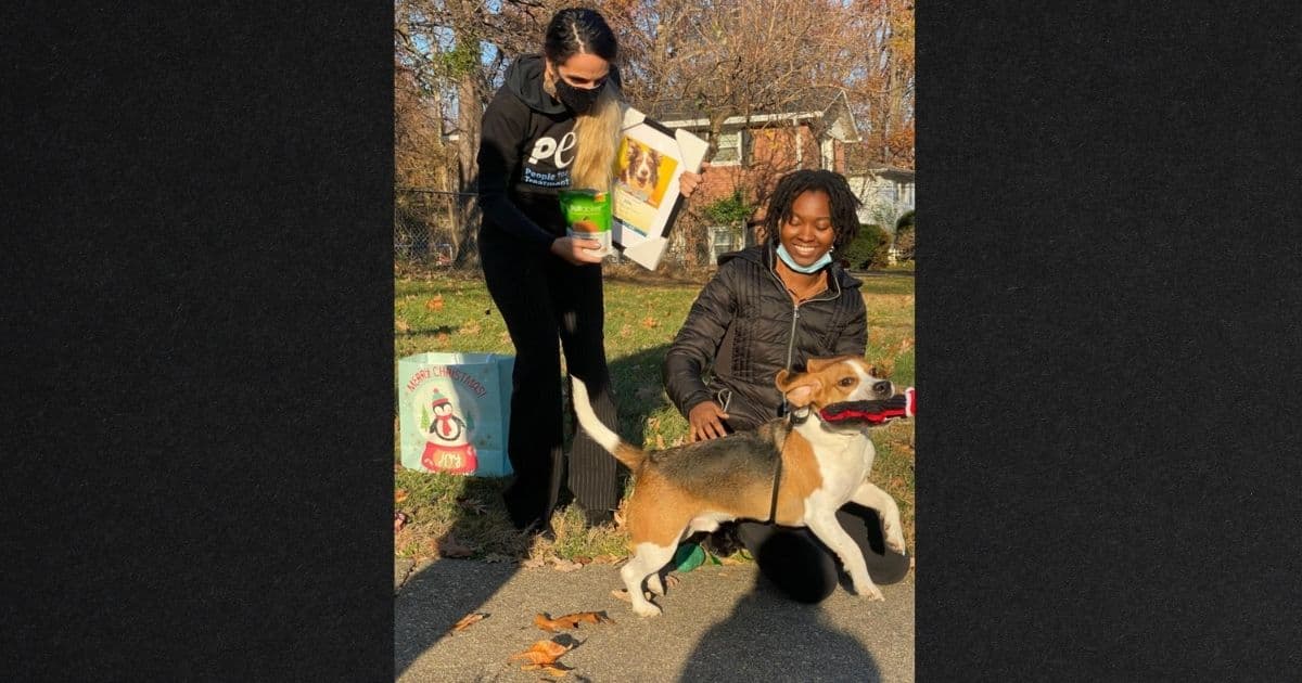 Dog With 'Sixth Sense' Saves Neighbor's Life After Literally Racing to Help