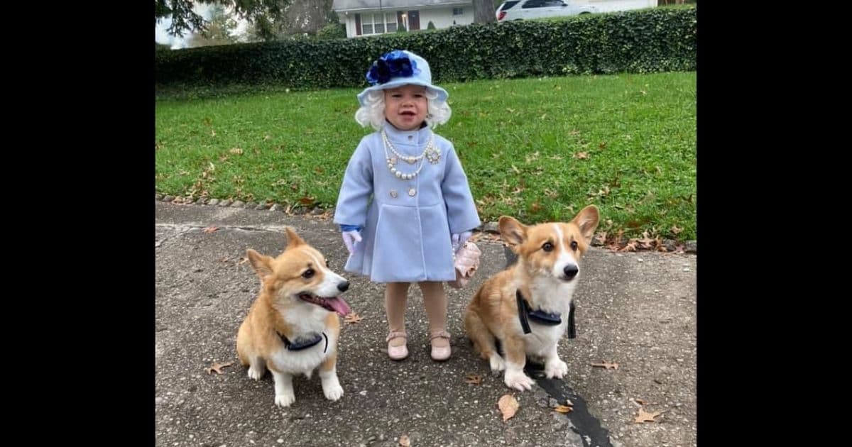 After Finding Out About Little Girl's Dress-Up, Queen Elizabeth's Team Doles Out Surprise