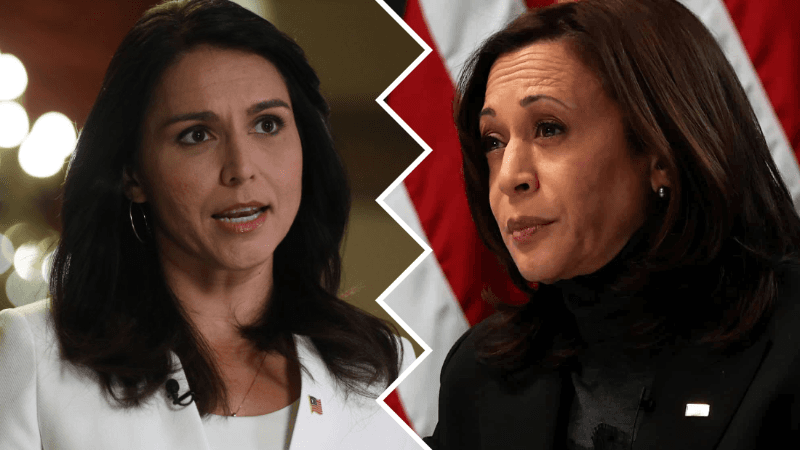 Tulsi Gabbard Labels Harris a ‘Disaster’ As Vice President