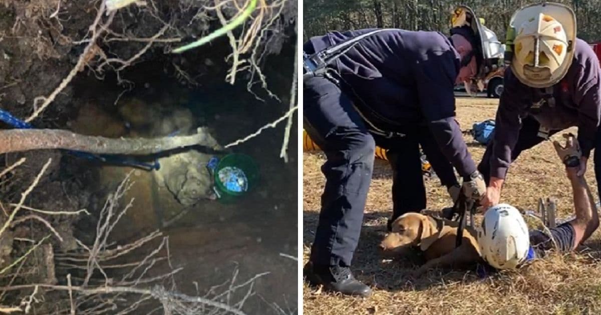 Photos: Firefighters Rescue Dog That Fell Down Narrow, 15-Feet-Deep Hole