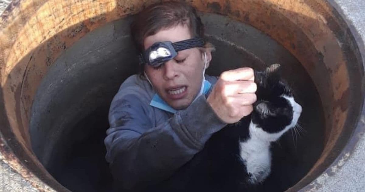 Local Hero Rescues Cat Trapped in Storm Drain, Does What Fire Department Couldn't
