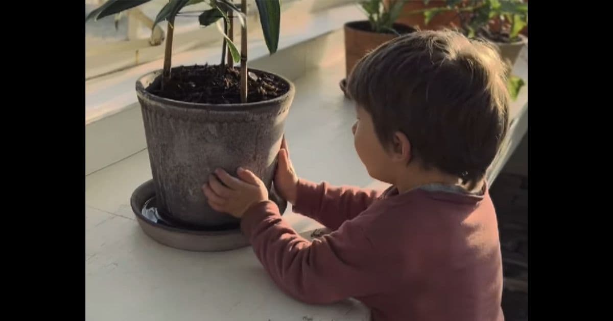 Video: Chip and Joanna Gaines' 3-Year-Old Son Has an Adorable Nighttime Routine Involving Plants