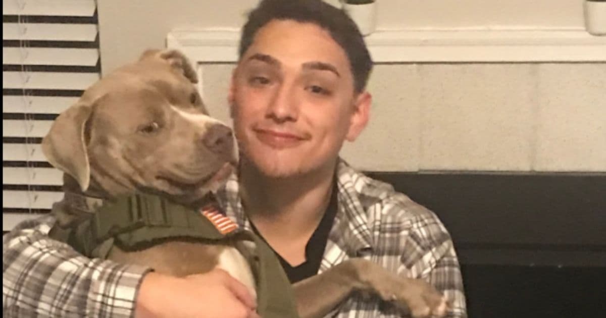 Video: Navy Medic Loses Service Dog During Car Crash, Reunited Months Later