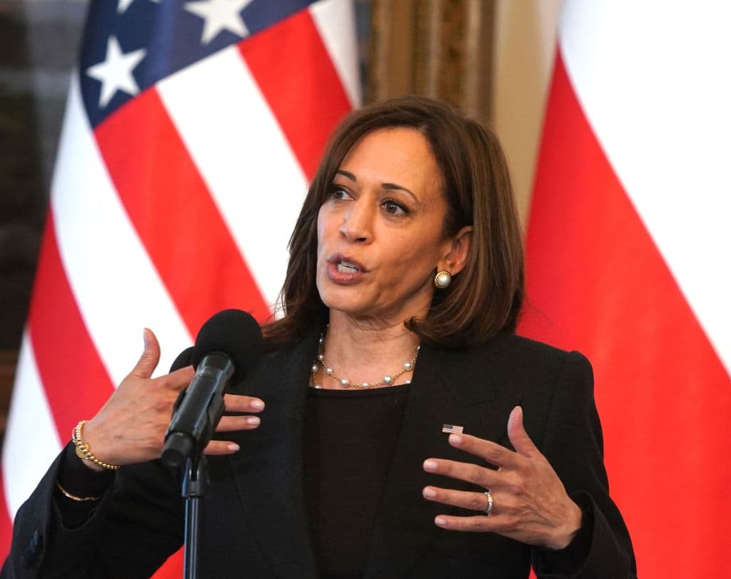 Former Press Secretary to Ukrainian President Criticizes Harris Following Awkward Moment With Reporter