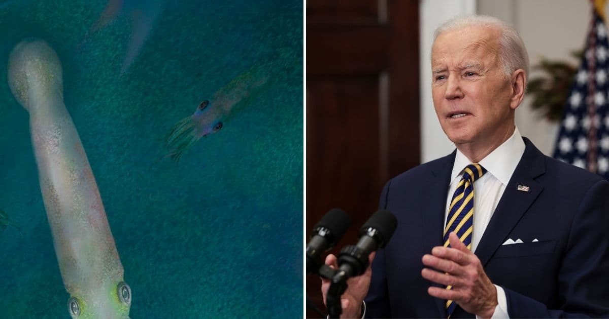 Not Satire: Joe Biden Gets Prehistoric âVampire Squidâ Named After Him
