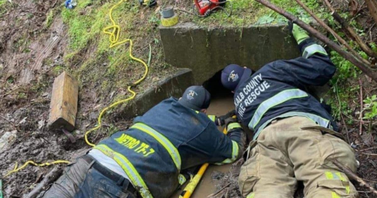 Firefighters Rescue Exhausted Dog Stuck in Muddy Storm Drain, Offer to Let It Stay at Station