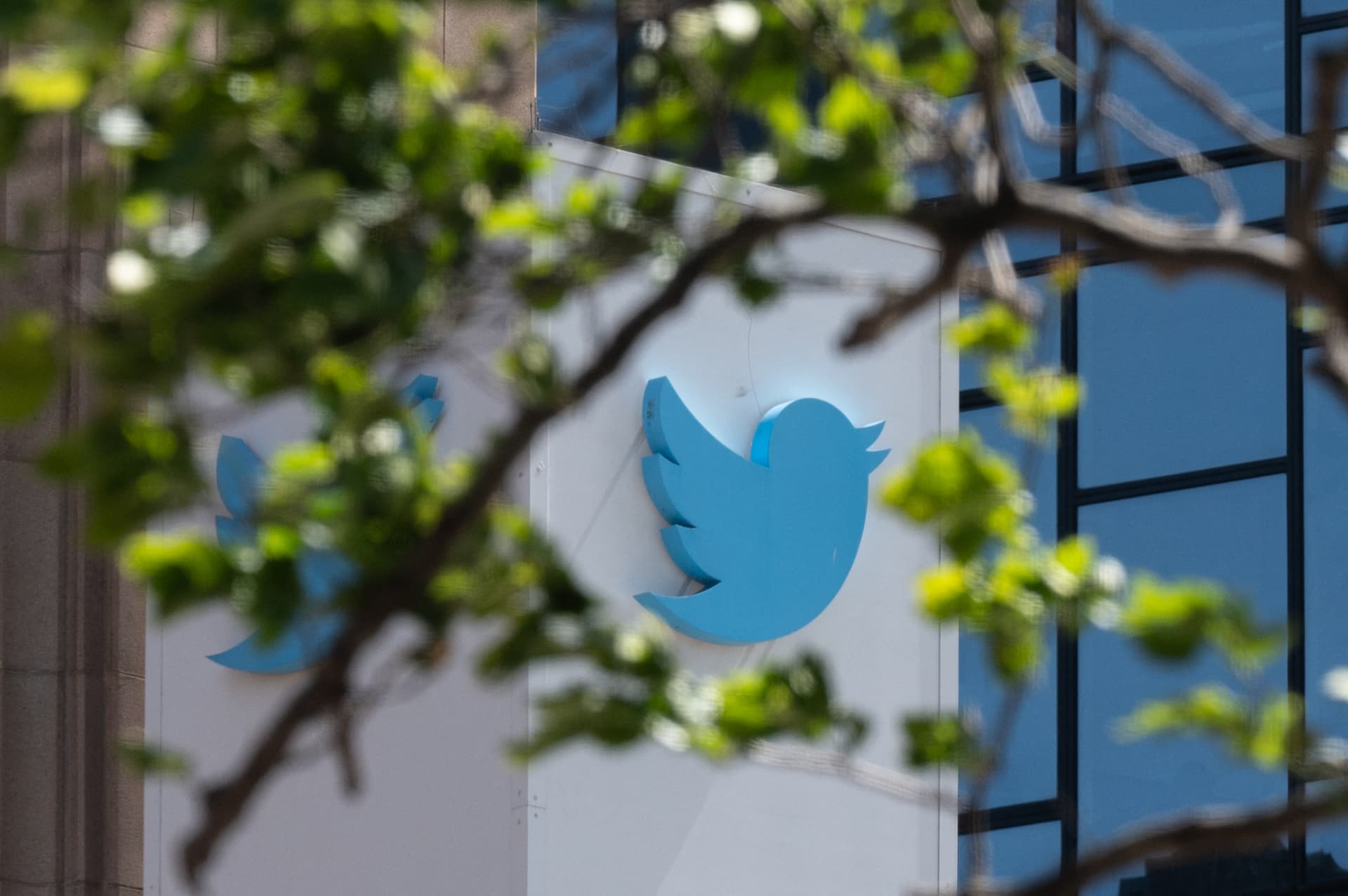 Daily Wire Co-Founder Accuses Twitter of Canceling Deal to Premiere Documentary Due to âMisgenderingâ