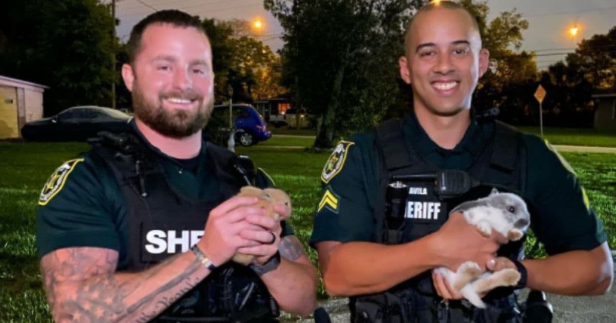 Sheriff's Office Helps with Unusual Rescue After Up to 50 Pets Reported Abandoned at Florida Park