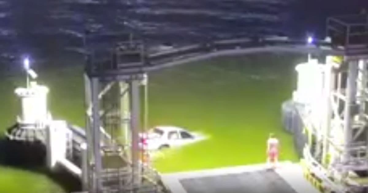 Hero Recognized by Coast Guard After Risking Life to Save Driver Who Drove Off Ferry Terminal