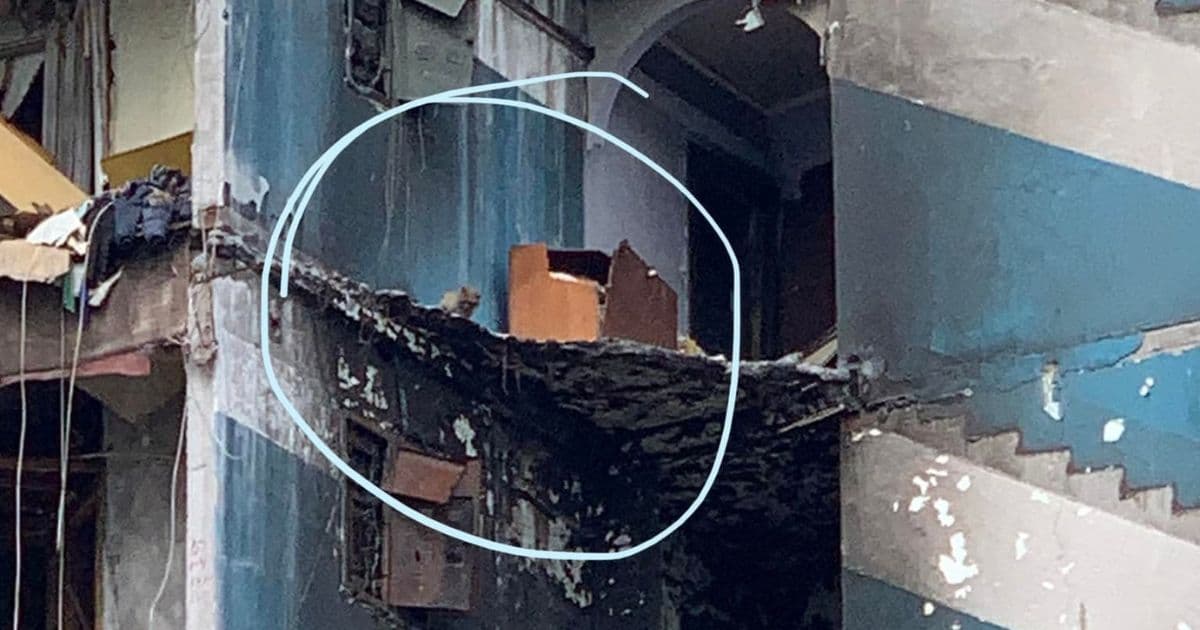 Cat Stranded for Weeks on 7th Floor of Bombed-Out Building Finally Rescued, Thanks to Local Heroes
