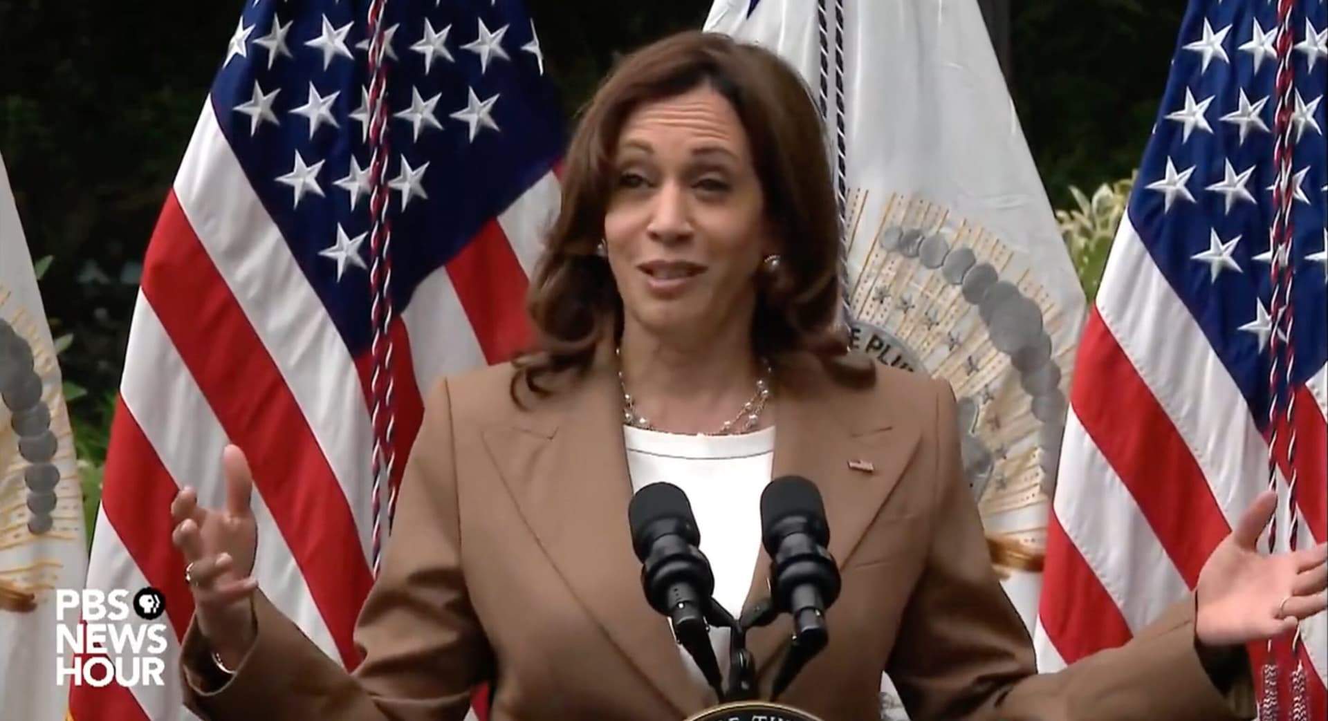 âWhat a Sentenceâ: Harris Roasted for Talking About âChildren of the Communityâ