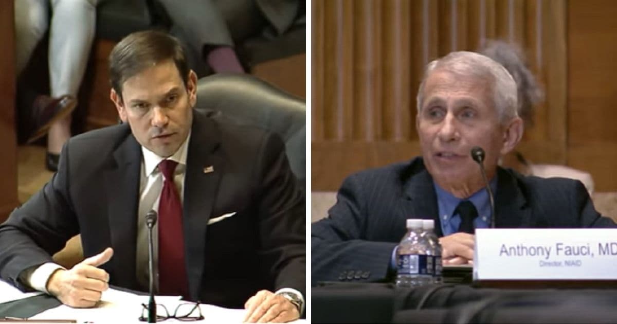 Rubio Grills Dr. Fauci: How Is It Americans With COVID Can’t Get in Country, but Illegals Can?