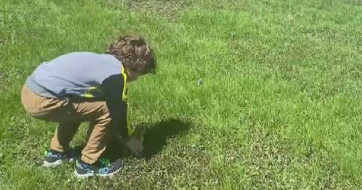Mother's Day Miracle: 6-Year-Old Boy Spots Abandoned Gosling Near Busy Road, Finds It a New Family