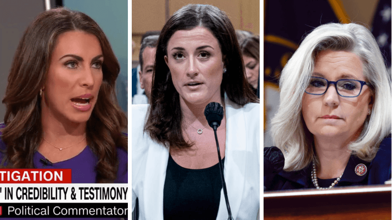 Former Trump Official Turned Critic Claims She Put Cassidy Hutchinson in Touch With Cheney Ahead of Testimony