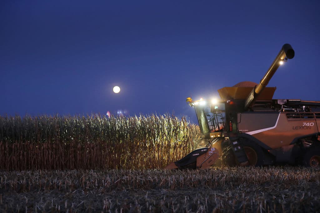 Crop Scouts Travel to Iowa, Make Horrifying Discovery When They Look at Corn Fields
