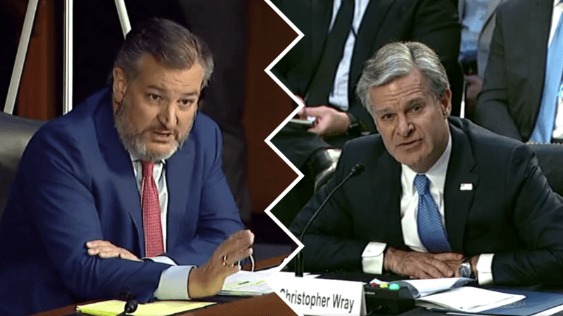 Cruz Grills FBI Director Over Document Which Lists âPatriotic Symbolsâ As Signs of âMilitia Violent Extremismâ