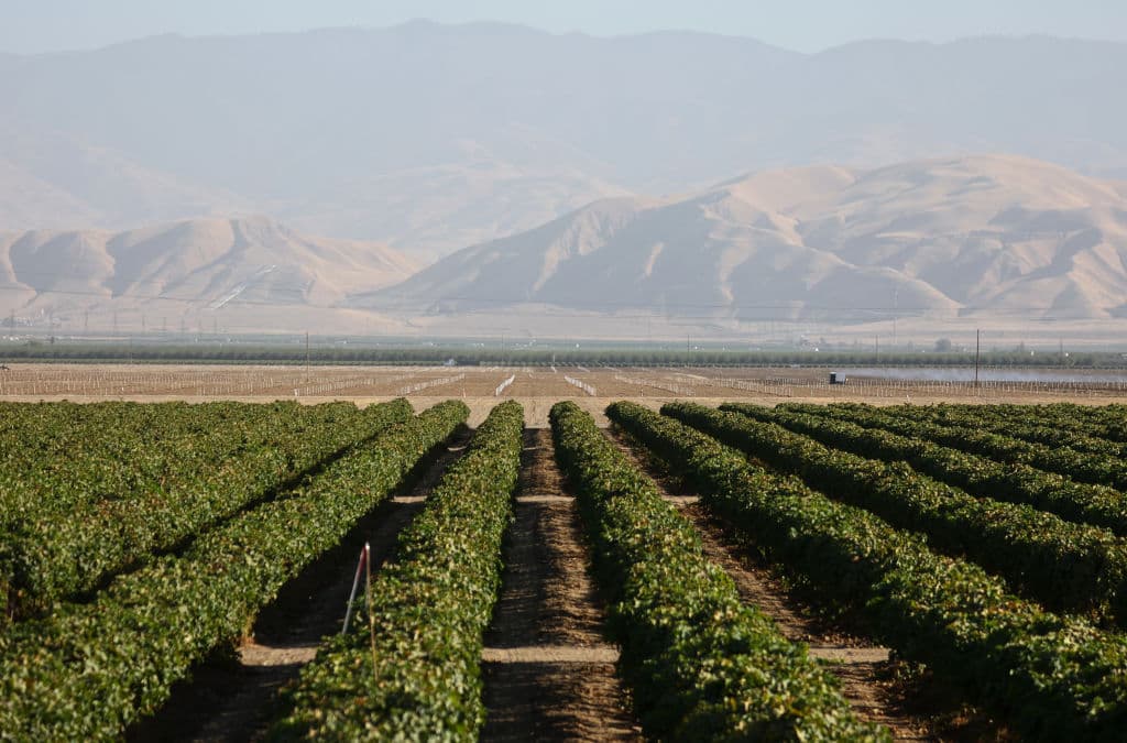 California Farmer Reveals Once-Great Agricultural Powerhouse 'Now Just a Wasteland'