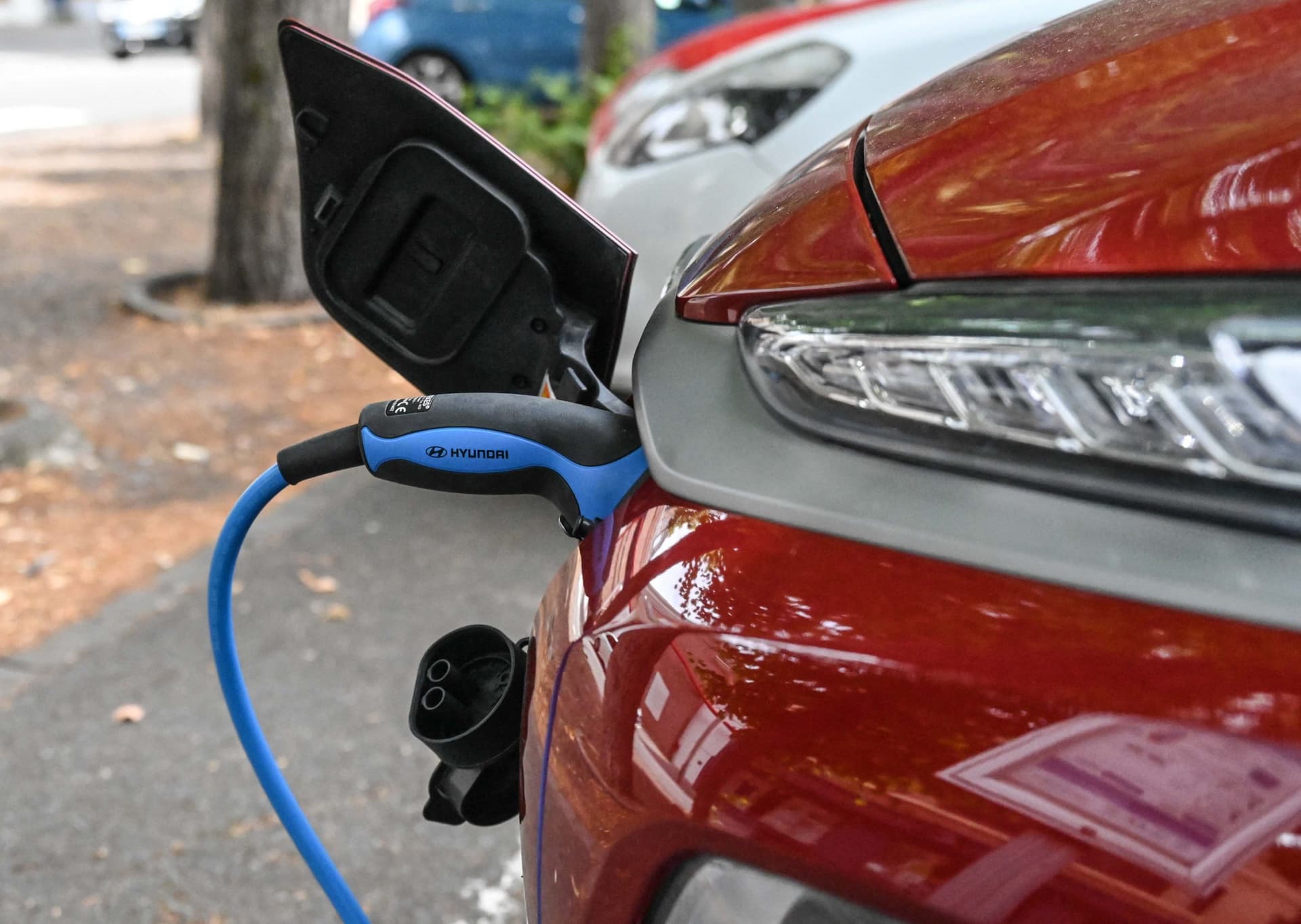Driver of Electric Vehicle Comes up With Solution to Drive 1,800 Miles Without Charging