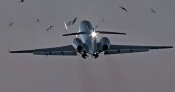 Watch: US Military Plane Carrying Head of National Guard Slams Into Flock of Birds Taking Off from Chicago
