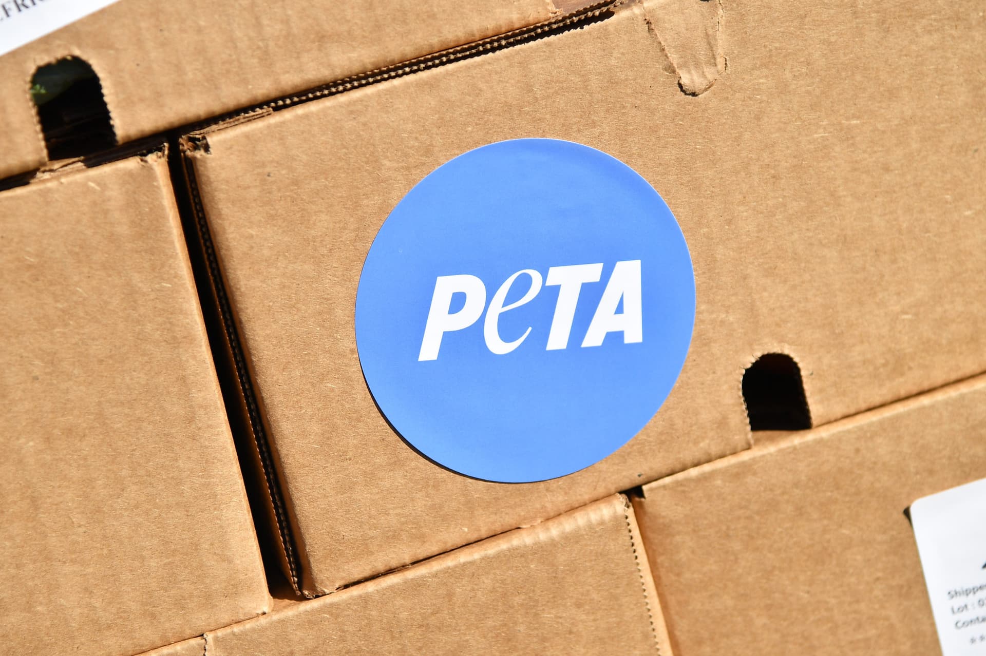 PETA Mocked After Posting Illustration of Turkeys Preparing to Eat a Human