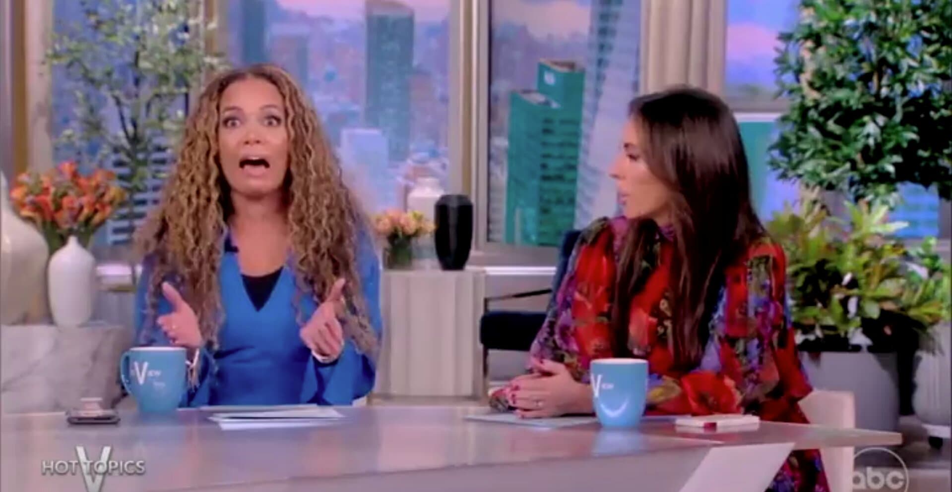 Sunny Hostin Likens White Women Voting for GOP to âRoaches Voting for Raidâ