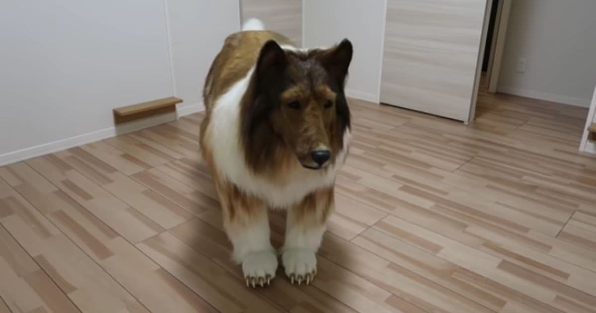 Man Who Spent Thousands of Dollars to Turn Himself Into āGiant Dogā Has Big Realization