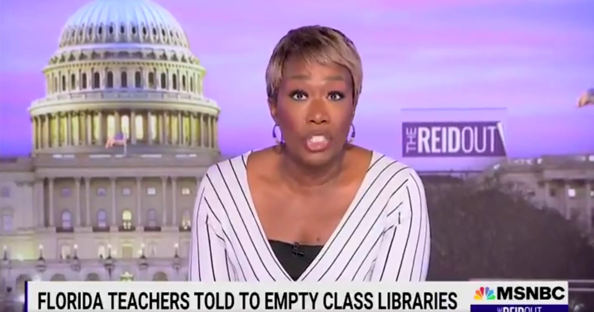 Joy Reid Claims DeSantis Is Turning Florida Into ‘Disney World, But in Hell’