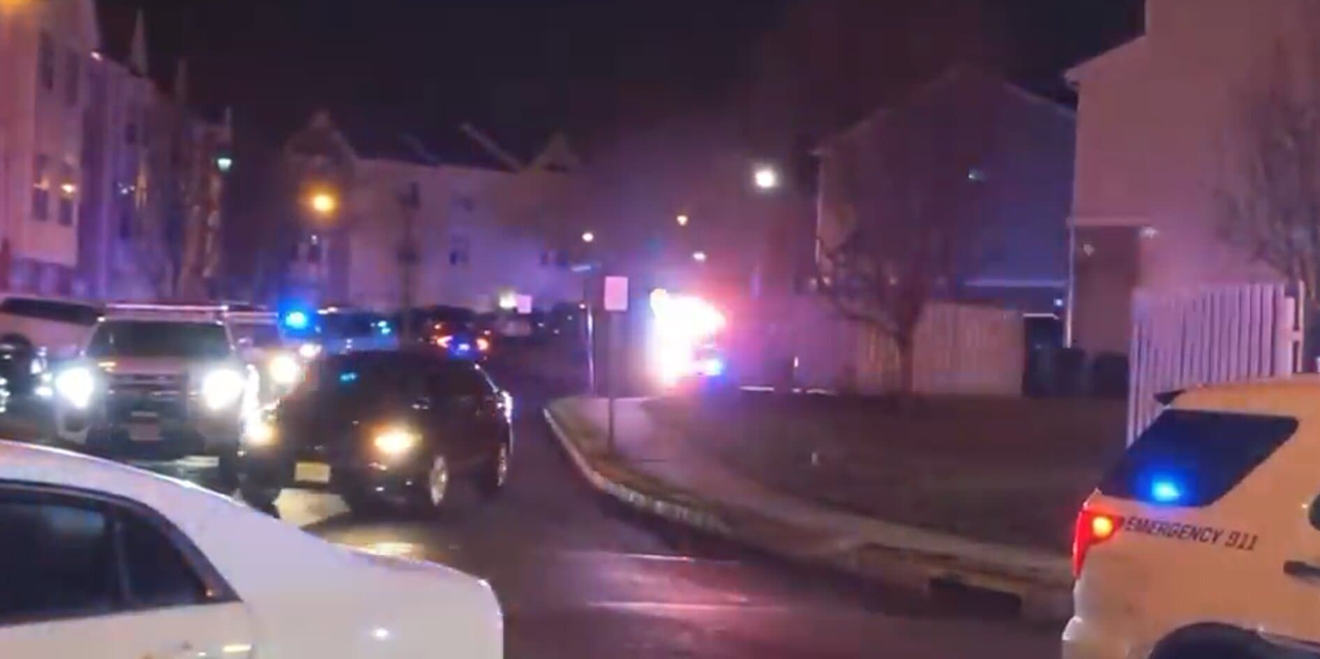 ‘Despicable Criminal Act’: Local Republican Councilwoman Killed Outside Her Home