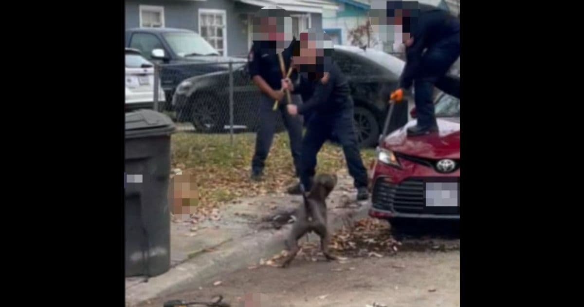 Firefighters Fight Their Way Past Vicious Dogs to Find āHorrific Sceneā ā Owner Arrested After One Man Dies