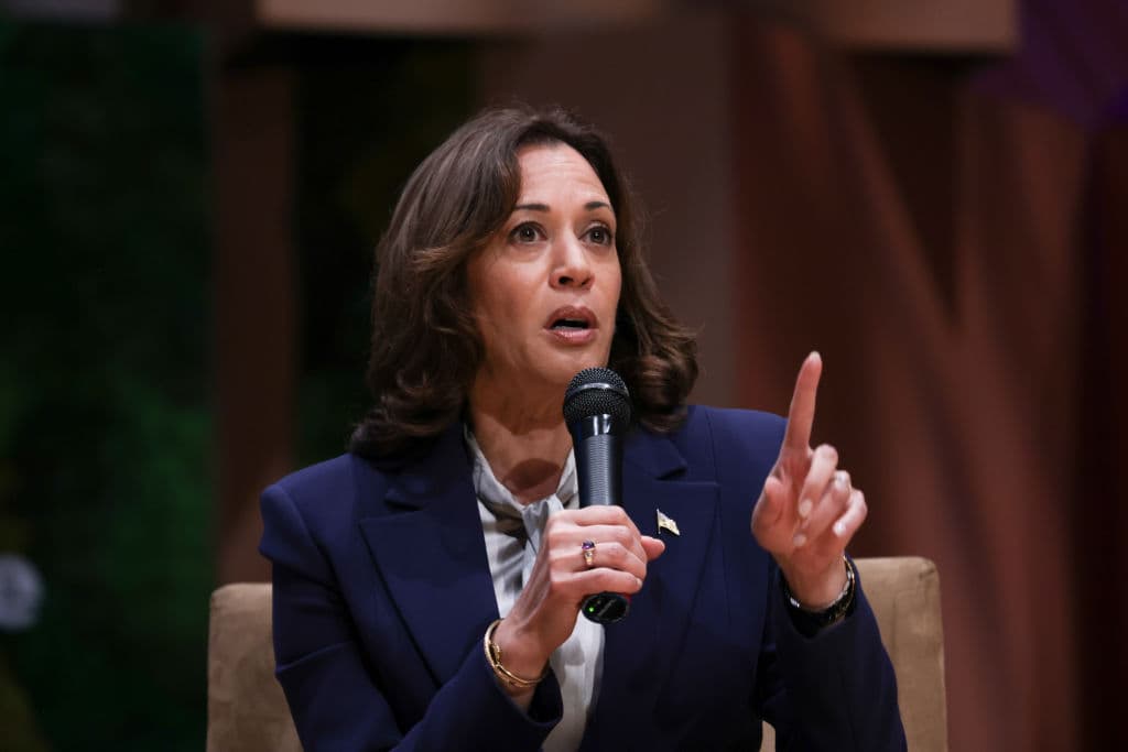 Embarrassing Dem Infighting: Upset Kamala Harris Wonât Return Elizabeth Warrenâs Phone Calls â Report