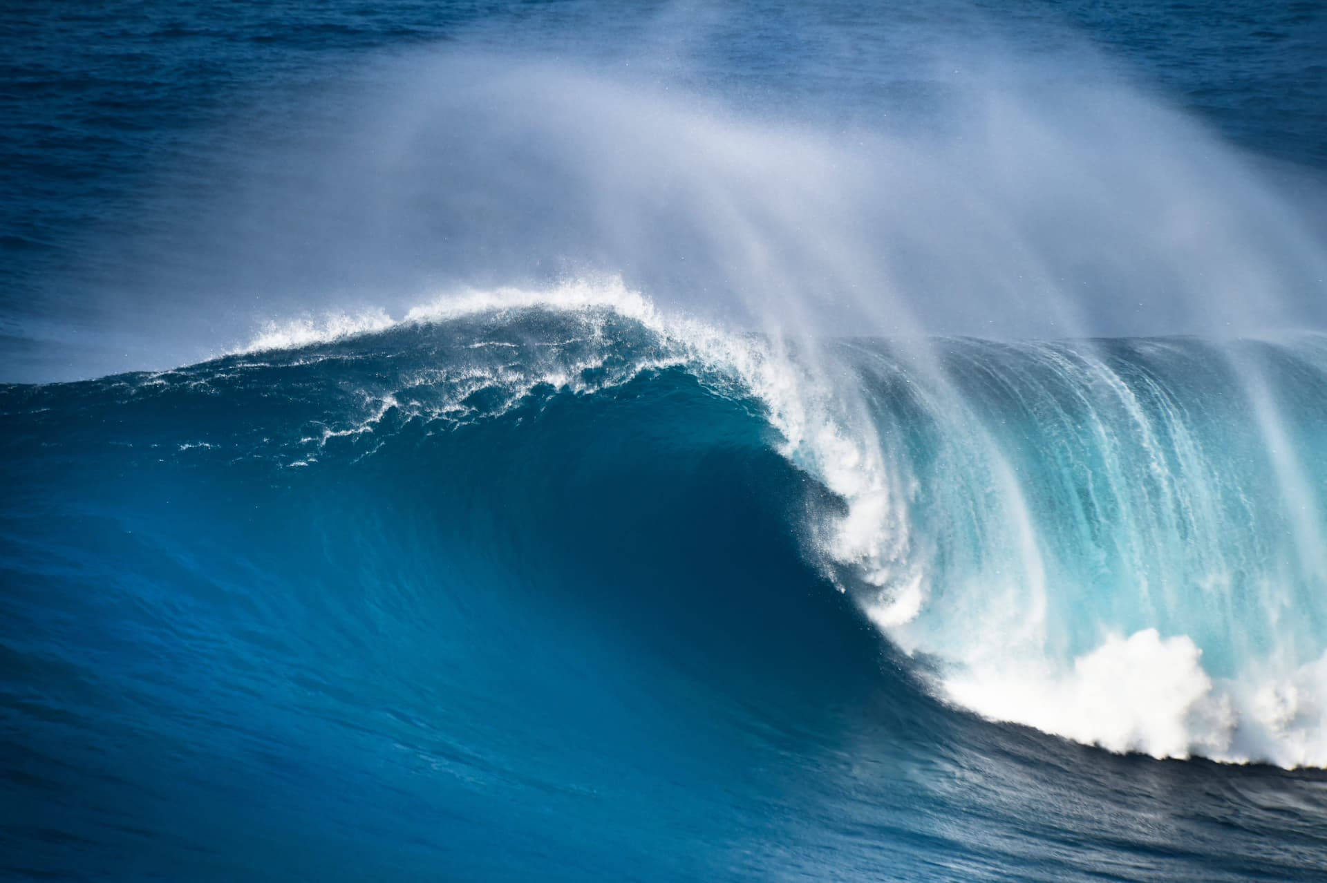 Couple Files Lawsuit Against Tour Company, Claims They Were Left Stranded in the Ocean