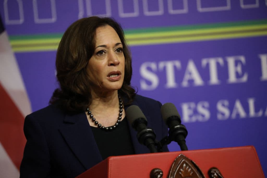 Kamala Harris Staffers Revolted by What Theyâre Being Served on Air Force Two: âHorrible Slopâ