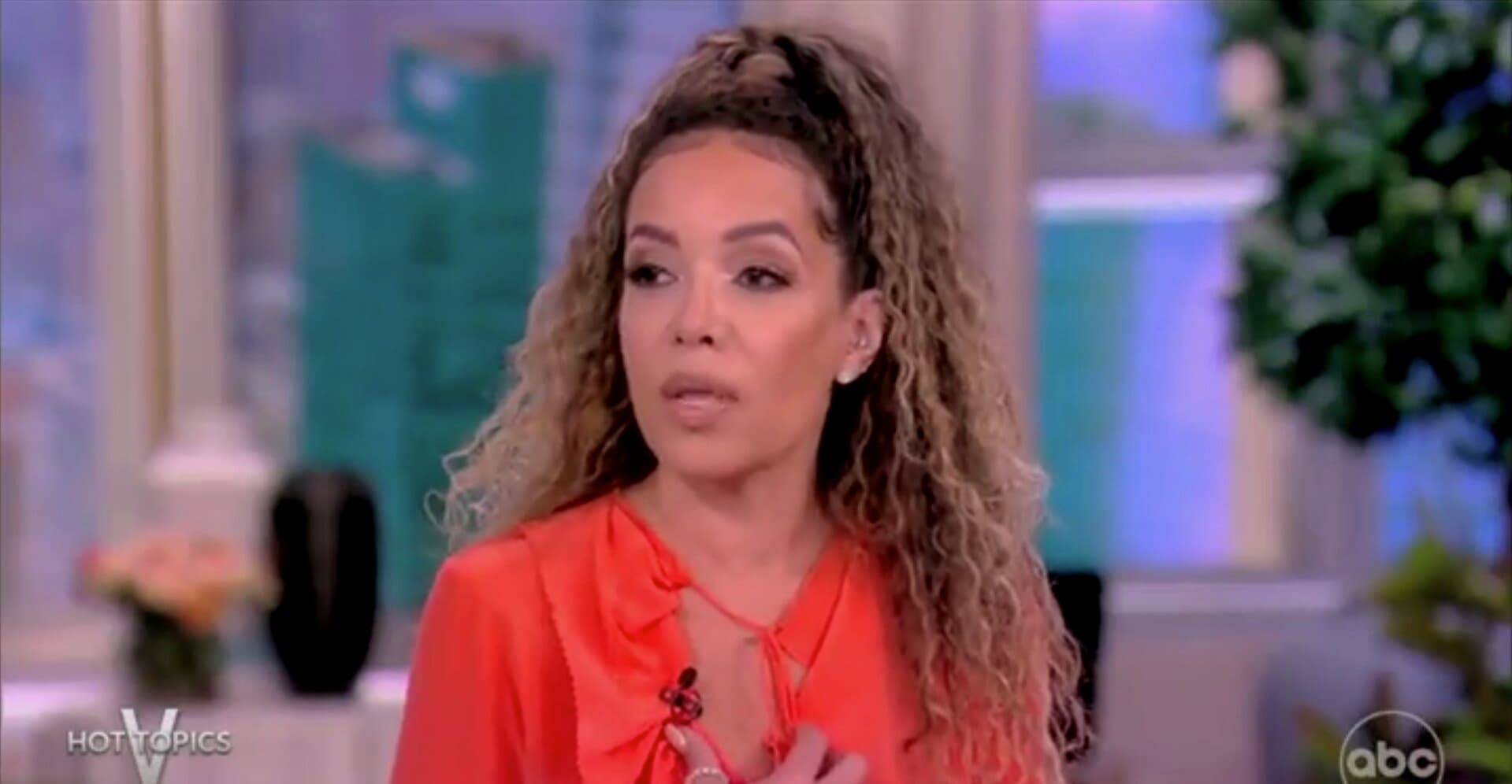 Sunny Hostin Comes to Don Lemon’s Defense, Insists He Is Not a Misogynist